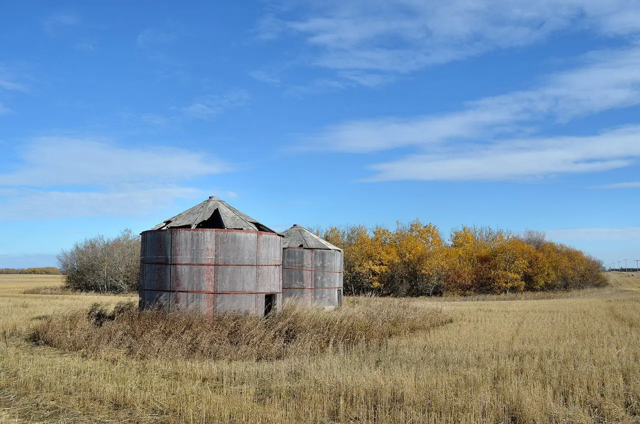Old granaries in a harvested field, 2011