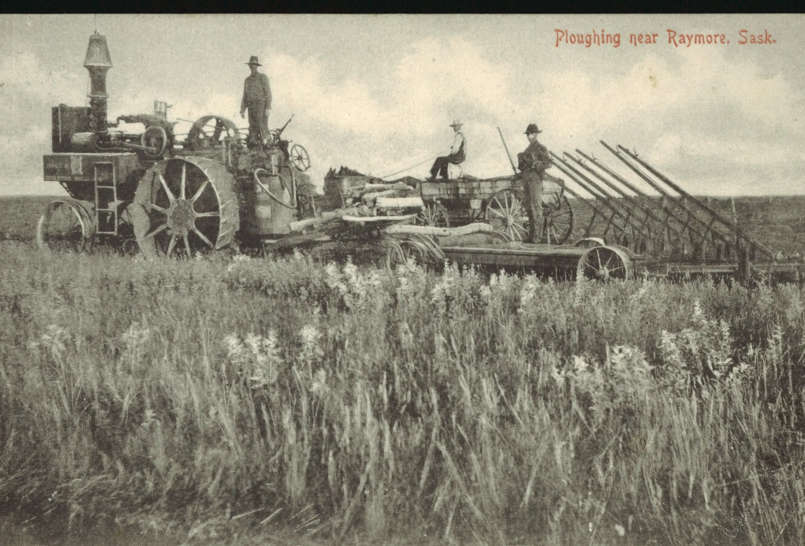 Steam engine ploughing near Raymore